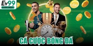 Cá Cược Bóng Đá