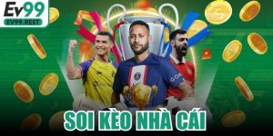 Soi Kèo Nhà Cái